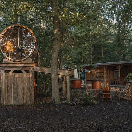 Tinyparks Forest Cabins Hoogersmilde 外观 照片