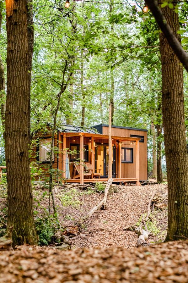 Tinyparks Forest Cabins Hoogersmilde 外观 照片