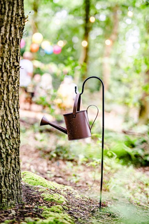 Tinyparks Forest Cabins Hoogersmilde 外观 照片