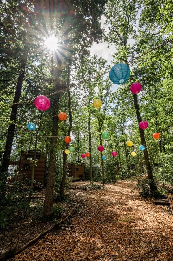 Tinyparks Forest Cabins Hoogersmilde 外观 照片